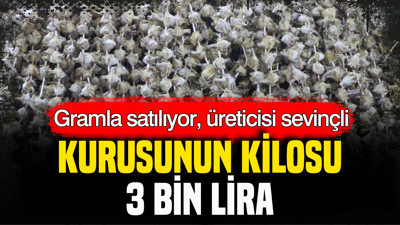 Gramla satılıyor, üreticisi sevinçli: Kurusunun kilosu 3 bin TL