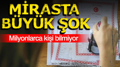 Miras paylaşımında 'kardeş' şoku: Milyonlarca kişi bilmiyor