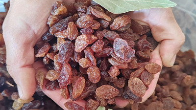 Üreticinin yüzü gülecek: TMO Alım fiyatlarını duyurdu