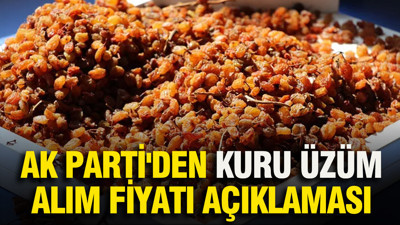 AK Parti'den kuru üzüm alım fiyatı açıklaması
