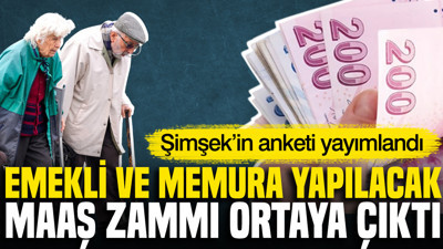 Emekli ve memura yapılacak maaş zammı ortaya çıktı: Şimşek’in anketi yayımlandı