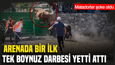 Matadorlar şoke oldu: Arenada bir ilk: Tek boynuz darbesi yetti attı