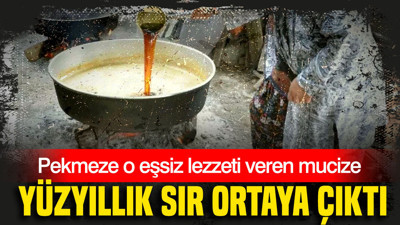 Yüzyıllık sır ortaya çıktı: Pekmeze o eşsiz lezzeti veren mucize
