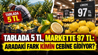 Limon tarlada 5 TL, rafta 97 TL: Aradaki fark kimin cebine gidiyor?