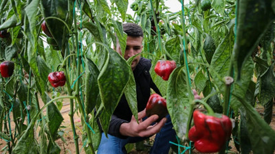Tarım ve Orman Bakanlığı üç ürününün kullanımı sonlandırılacak
