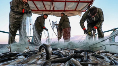 Palamut fiyatı düşünce balıkçılardan çağrı: Avlanmayı bırakın