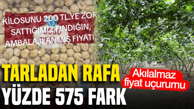 Tarladan rafa yüzde 575 fark: Akılalmaz fiyat uçurumu