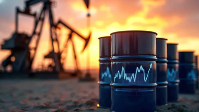 TPAO 'dan petrol hamlesi
