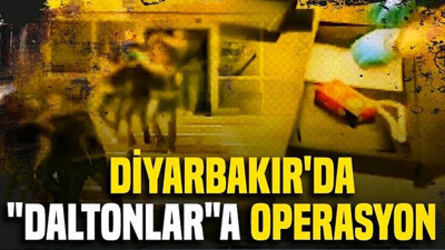 Diyarbakır'da 'Daltonlar'a operasyon Çok sayıda gözaltı var