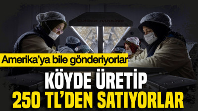 Köyün tamamı fabrikaya ortak oldu: Şimdi Amerika'ya ihracat yapıyorlar