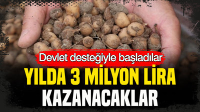 Devlet desteğiyle başladılar: Yılda 3 milyon lira kazanacaklar