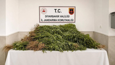 Diyarbakır’da uyuşturucu operasyonu: 14 bin kök kenevir ve 129 kilo esrar ele geçirildi