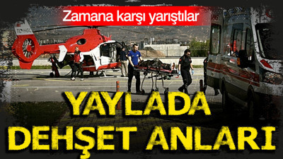 Yaylada dehşet anları: Zamana karşı yarıştılar
