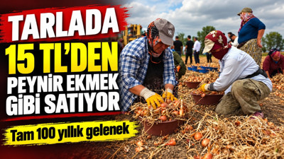 Tarlada 15 TL'den peynir ekmek gibi satıyor: Tam 100 yıllık gelenek
