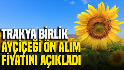 Trakya Birlik, ayçiçeği ön alım fiyatını açıkladı