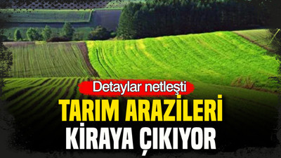 Tarım arazileri kiraya çıkıyor: Detaylar netleşti