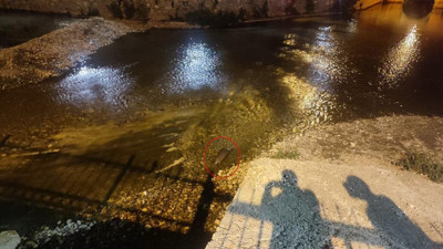 Konya'da Çarşamba Çayı'nda su samuru görüntülendi