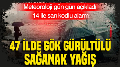 14 ilde sarı kod alarm: 47 ilde gök gürültülü sağanak yağış: Meteoroloji gün gün açıkladı