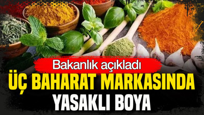 Bakanlık açıkladı: Üç baharat markasında yasaklı boya