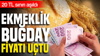Ekmeklik buğday fiyatı uçtu: 20 TL sınırı aşıldı