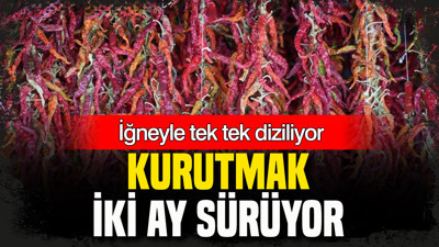 İğneyle tek tek diziliyor: Kurutması 2 ay sürüyor