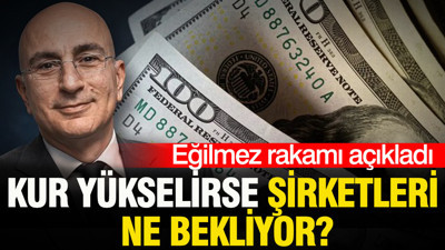 Mahfi Eğilmez rakamı açıkladı: Kur yükselirse şirketleri ne bekliyor?