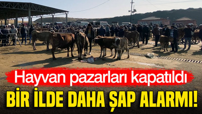 Yozgat’ta şap alarmı: Canlı hayvan pazarları kapatıldı