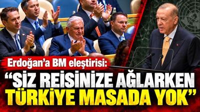 Prof. Uzgel'den Erdoğan'a BM eleştirisi: Siz reisinize ağlarken Türkiye masada yok