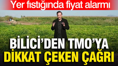 Yer fıstığında fiyat alarmı: Bilici’den TMO’ya dikkat çeken çağrı
