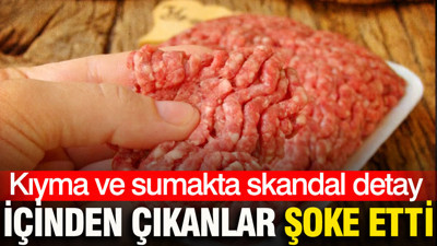Kıyma ve sumakta skandal detay: İçinden çıkanlar şoke etti
