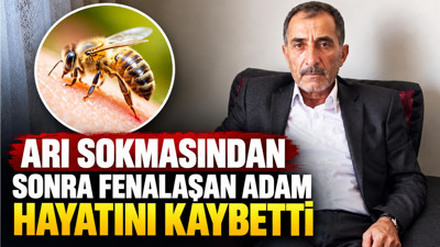 Arı sokmasından sonra fenalaştı: 61 yaşındaki adam hayatını kaybetti