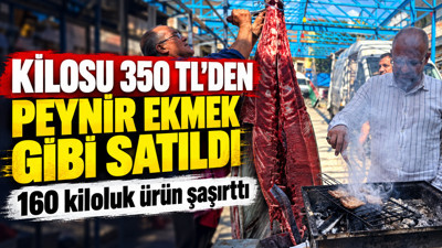 Kilosu 350 TL'den peynir ekmek gibi satıldı: 160 kiloluk ürün şaşırttı