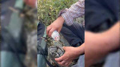 Elazığ Palu’da dağlık alanda yangın: Kaplumbağa kurtarıldı