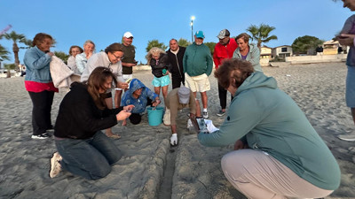 Geçen yıl sel altında kalan yuvadan çıkan 22 caretta caretta denize bırakıldı