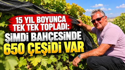 15 yıl boyunca tek tek topladı: Şimdi bahçesinde 650 çeşidi var