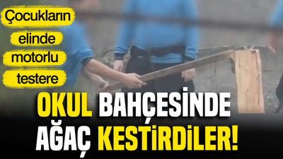 Çocukların elinde motorlu testere: Okul bahçesinde ağaç kestirdiler