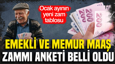 Emekli ve memur maaş zammı anketi belli oldu: Ocak ayının yeni zam tablosu