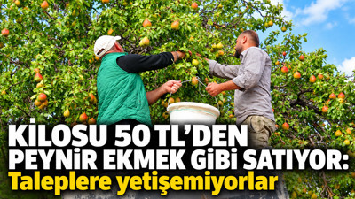 Kilosu 50 TL’den peynir ekmek gibi satıyor: Taleplere yetişemiyorlar