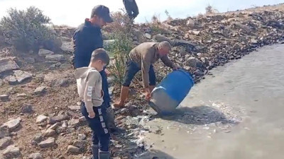 Edirne’de kanallarda mahsur kalan balıklar göletlere bırakıldı