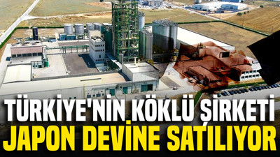 Türkiye'nin köklü şirketi Japonlara satılıyor