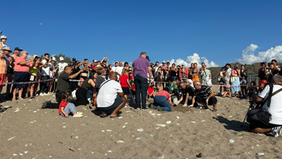 Antalya Kemer’de 3 bin 500 caretta caretta yavrusu denize ulaştı