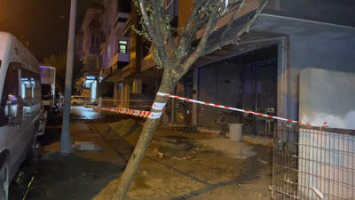 Elektrik akımına kapılan köpek öldü, sahibi yaralandı