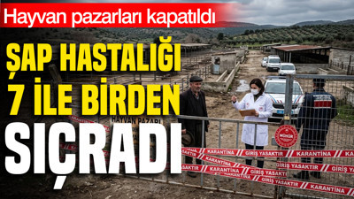 Şap hastalığı 7 ile birden sıçradı: Hayvan pazarları kapatıldı