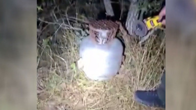 Tüpün içine ses cihazı yerleştirmişler: Kaçak avcıların oyunu bozuldu