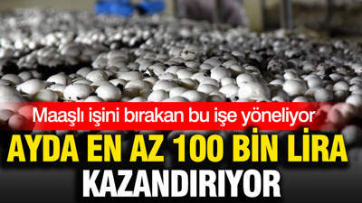 Ayda en az 100 bin lira kazandırıyor: Maaşlı işini bırakan bu işe yöneliyor