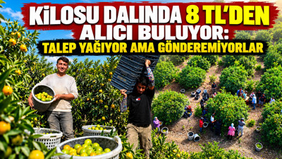 Kilosu dalında 8 TL'den alıcı buluyor: Talep yağıyor ama gönderemiyorlar