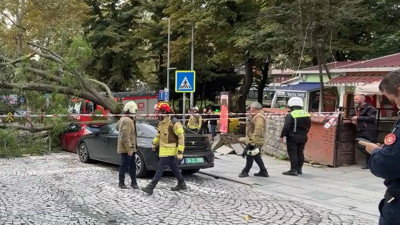 Maçka Parkı'nda dehşet: Dev ağaç otomobilin üzerine yıkıldı