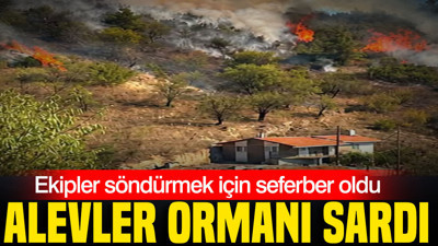 Alevler ormanı sardı: Ekipler söndürmek için seferber oldu