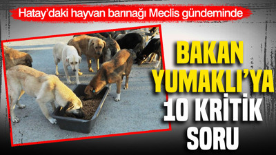 Hatay’daki hayvan barınağı Meclis gündeminde: Bakan Yumaklı'ya 10 kritik soru