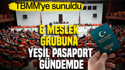 TBMM'ye sunuldu: 6 meslek grubuna yeşil pasaport gündemde